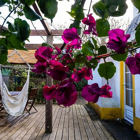 Casa Villa Cottage Понта Делгада Екстериор снимка