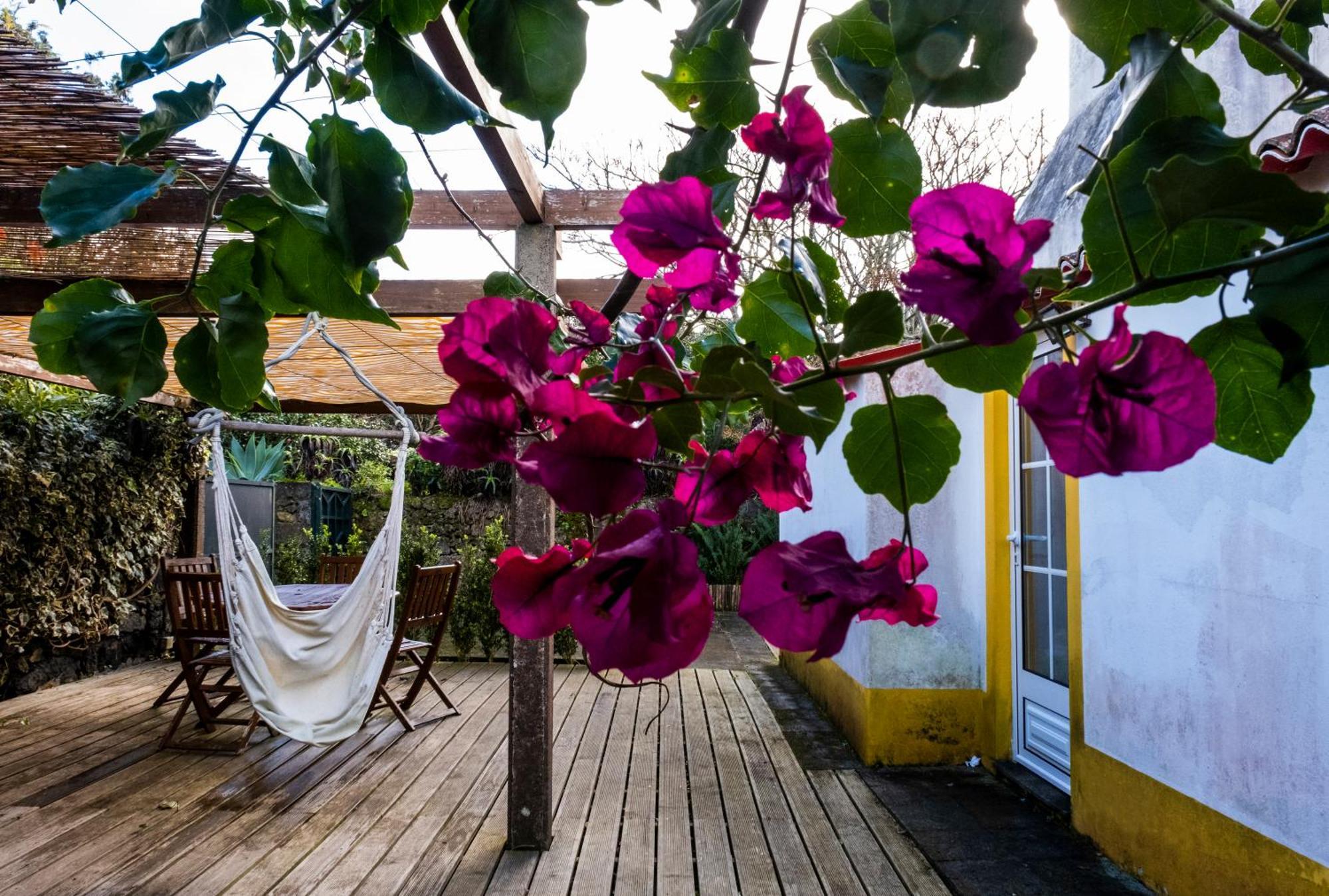 Casa Villa Cottage Понта Делгада Екстериор снимка